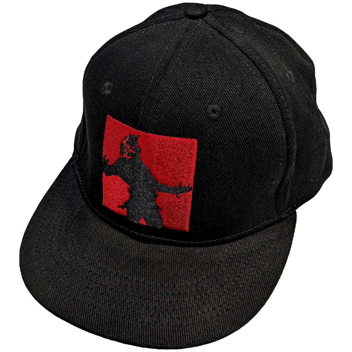 Disturbed - Cap (Evolution) - Image 2