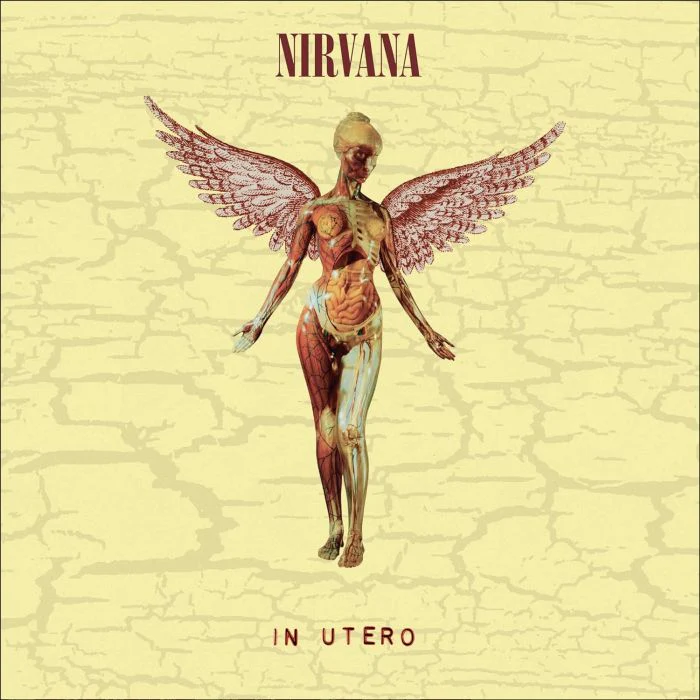 Nirvana - In Utero (30th Anniversary Super Deluxe Ed. 180g 8LP Box Set) - Vinyl - New - Image 2