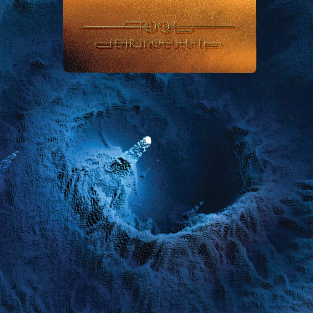 Tool - Fear Inoculum (Deluxe Ltd. Ed. 5LP set with etched B-sides) - Vinyl - New - Image 2