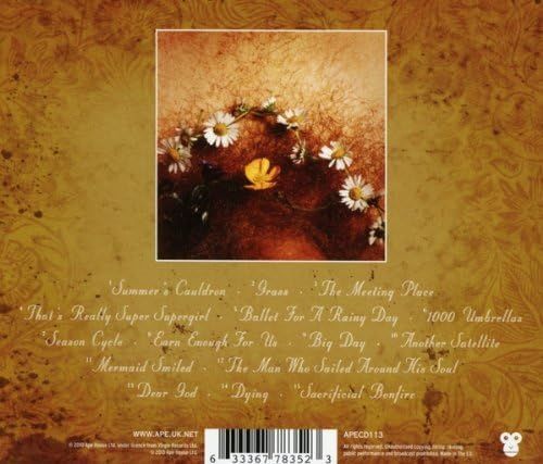 XTC - Skylarking (2013 reissue) - CD - New - Image 2